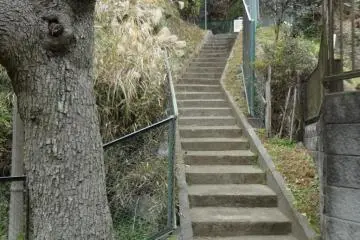 Kamakura's Daibutsu Hiking Trail