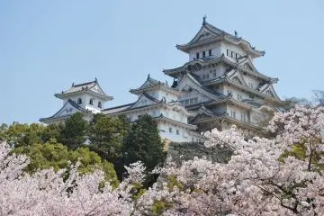 Photo: <a href="http://www.layoverguide.com/wp-content/uploads/2010/07/Himeji-Castle-during-cherry-blossom-in-Osaka-Japan.jpg" target="_blank" rel="noreferrer noopener nofollow">layoverguide</a>