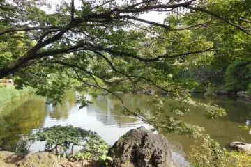 The Peaceful Hibiya Park