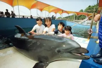 The kids, and adults alike, love petting the dolphins! (Photo: Mie Prefecture)