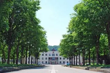 The Place of Cultural Diversity