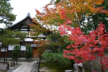 Tenryu-ji Temple (Photo: Ryohei / JT)