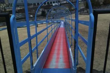 View of the roller slide from the top (Photo: Justin W. Dart)