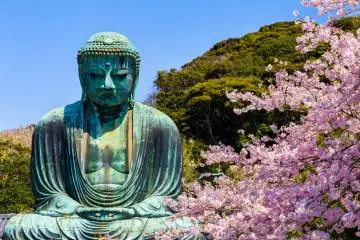 Kamakura Buddha (Kamakura Daibutsu)