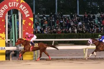 Tokyo City Keiba