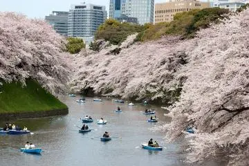 Chidorigafuchi
