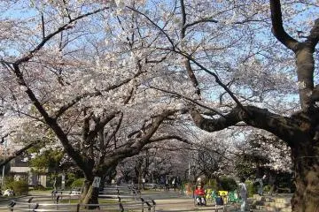 Green Way Park