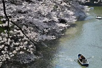 Boat Rental