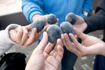 Kuro-tamago (black eggs)