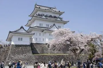 Odawara Castle