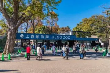 Zoo Ueno