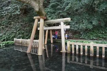 Holy Washing Pond / Mitarashi Ike