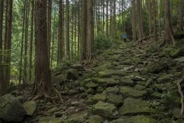 Iseji Route