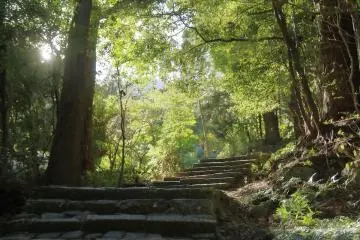 熊野古道