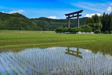 Oyunohara Torii Gate