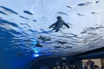 Sunshine Aquarium