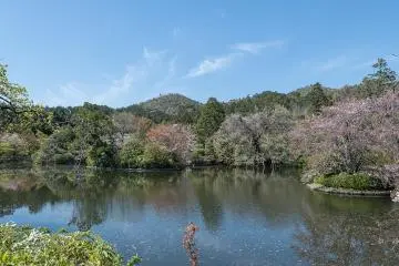 Kyoyochi Pond