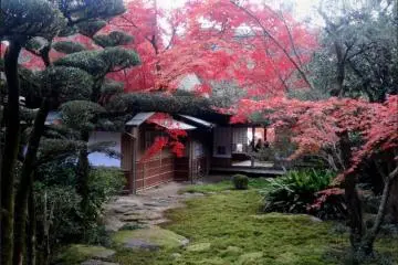 九年庵