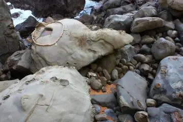 Turtle Rock