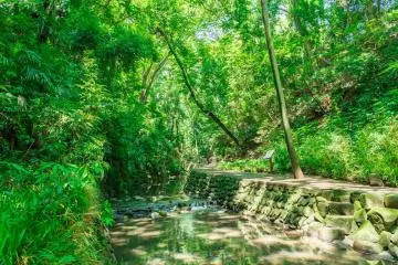 Todoroki Valley