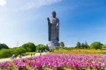 Ushiku Daibutsu