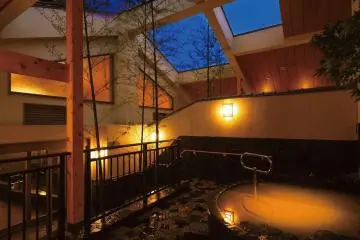 Musashi-Koyama Onsen Shimizu-yu