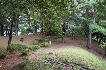 Kiriyama Castle Ruins