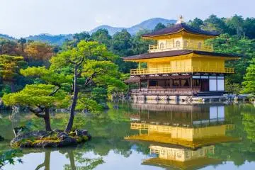 Chùa Kinkakuji vào mùa hè