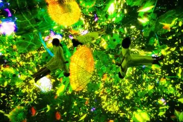 Floating in the Falling Universe of Flowers