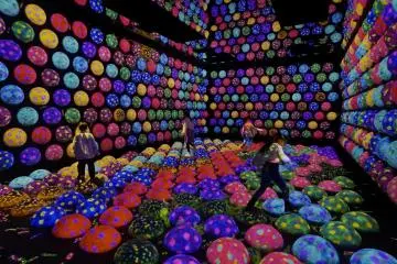 Rapidly Rotating Bouncing Spheres in the Caterpillar House