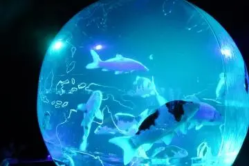 Earthaquarium Japonism