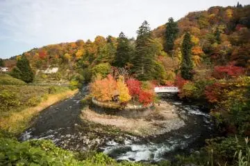 Nakano Momiji-yama