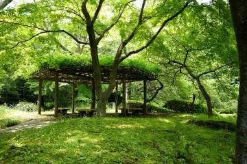 Serigaya Park