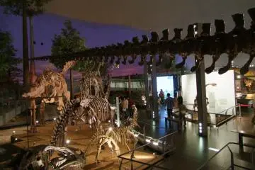 Fukui Prefectural Dinosaur Museum