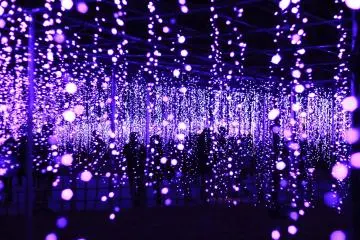 Light Flower Garden
