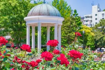 Verny Park