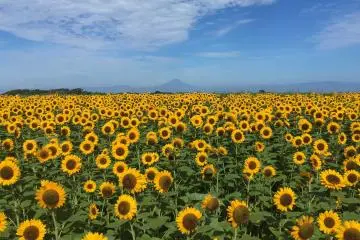 Nagai Uminote Park Soleil Hill