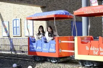 Paddington Coaster