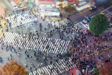 Shibuya Scramble Crossing