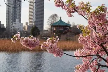 Ueno Park